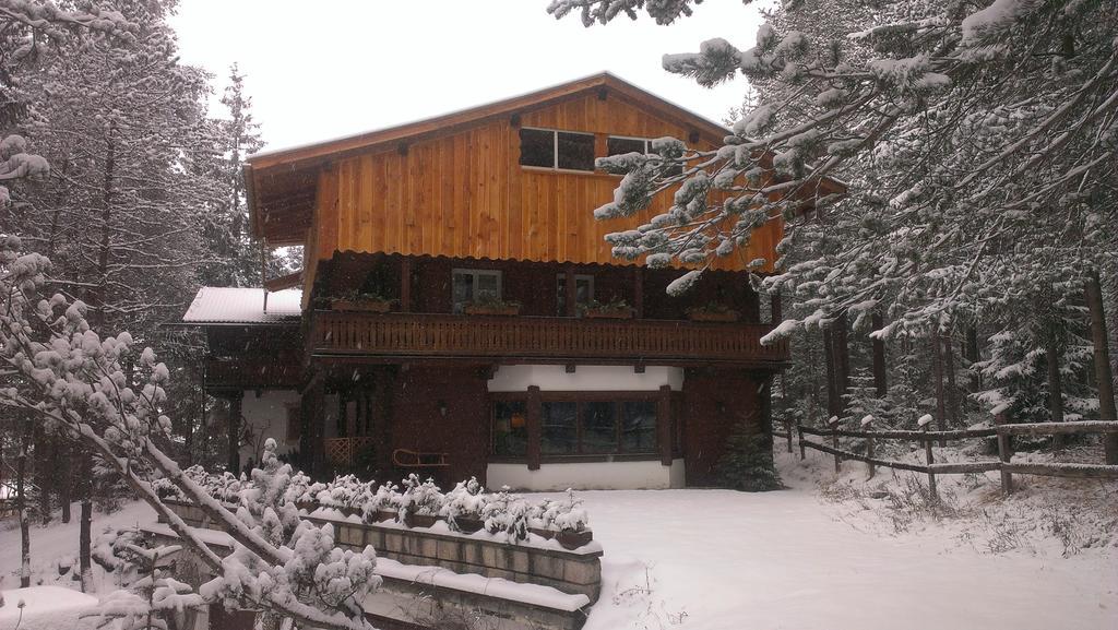 B&B Villa Dolomites Hut San Vigilio Di Marebbe Exterior photo